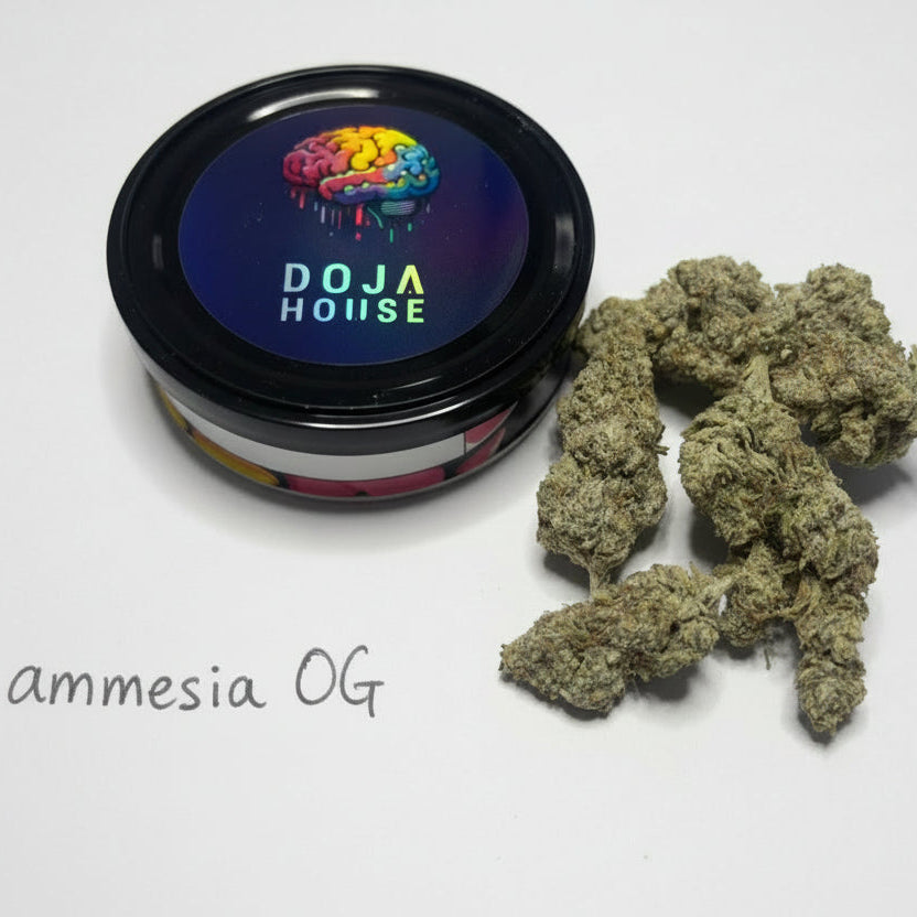 Marijuana buds next to a container labeled 'Doja House' on a marble surface