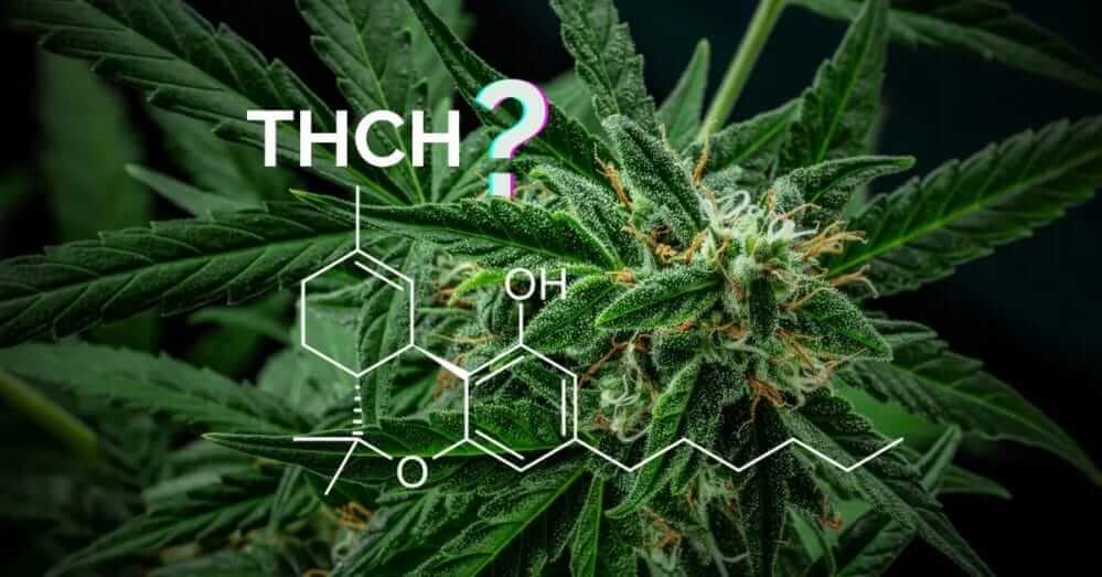 THC-H Benefits & Effects