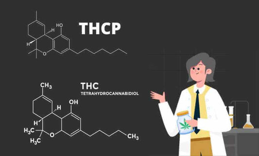 Let's Look at THCP! - Doja House
