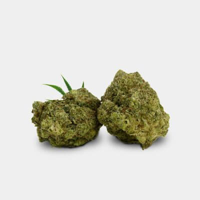 Premium Champagne Haze cannabis buds, showcasing their lush green color and natural texture for a refined vaping experience.