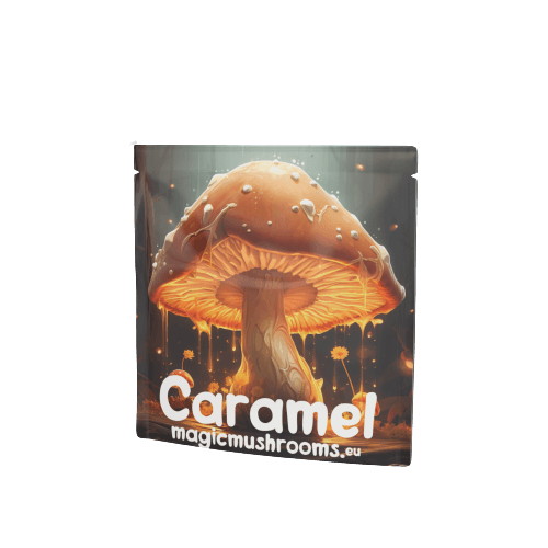 Caramel Fudge - Mushroom Extract